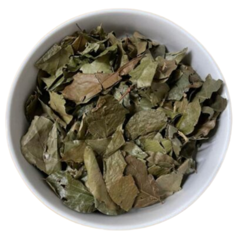 KINKELIBA LEAVES, KINKELIBA LOOSE TEA -QUINQUELIBA, SEHHAW, SEKHAW, DOUT? ORGANIC - GAMBIA AND SENEGAL BUSH TEA (0.3LBS) image 0