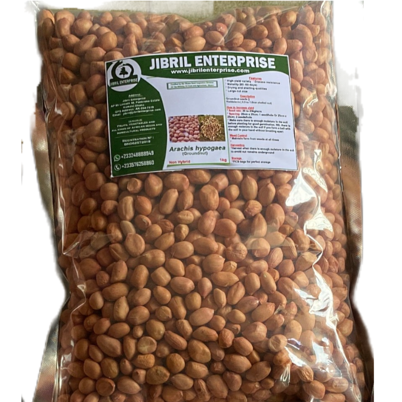 GHANAIAN GROUNDNUT SEEDS(ARACHIS HYPOGAEA ), NON HYBRID, HIGH YIELDING VARIETY, 200G/7 USD, SHIPPING COST 10 USD, PHYTO CERTIFICATE 12 USD (NANLBS) image 0